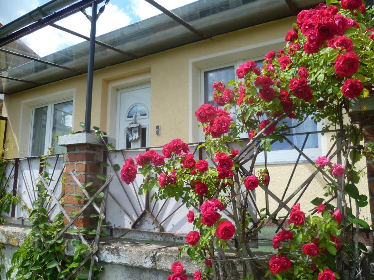 אלבינגרודה Ferienhaus 1 מראה חיצוני תמונה